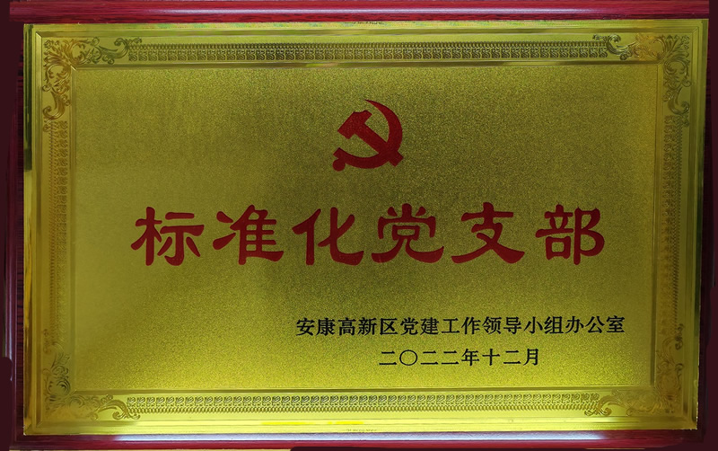 標準化黨支部