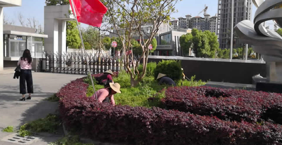 廠房修剪